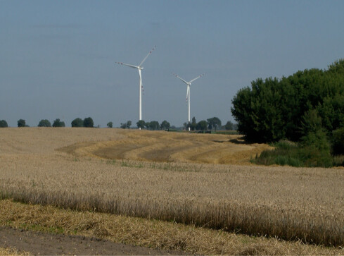 Susza nęka nasze wsie. Będą odszkodowania dla rolników  - grafika
