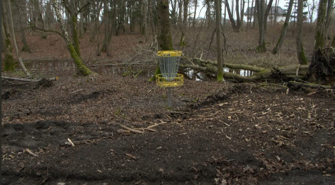 Sportowa atrakcja w zabytkowym parku - grafika