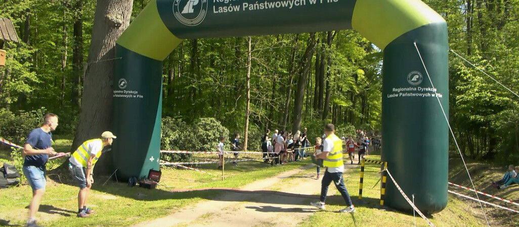 Bieg Zawilca w Złotowie