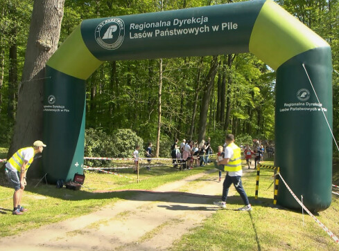 Bieg Zawilca w Złotowie  - grafika