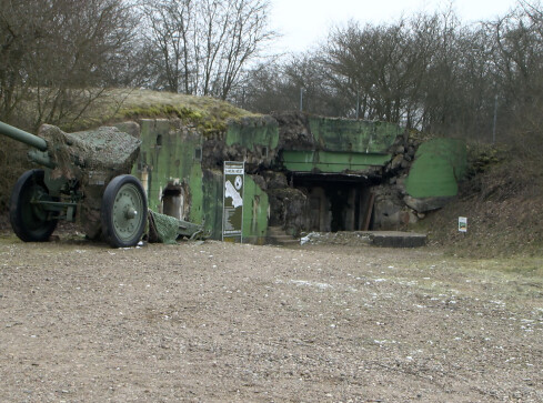 Wałecki OFF Road Militarny  - grafika