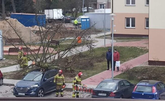 Silny wiatr nie odpuszcza. Duże straty w regionie 