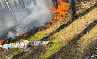 Płonął las przy lotnisku 