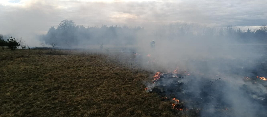 Wypalanie traw grozi utratą dopłat