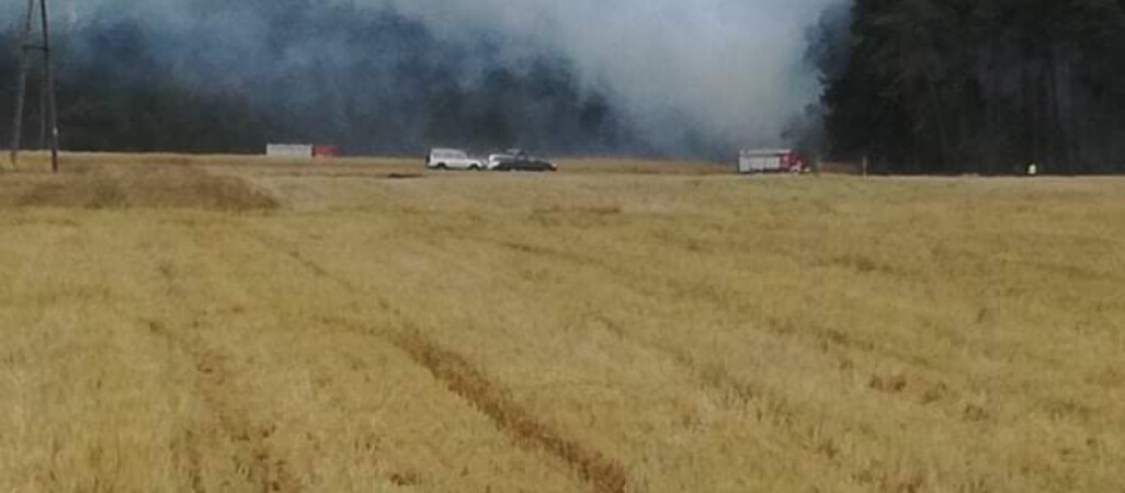 Duży pożar zboża pod Trzcianką