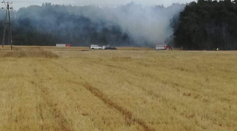Duży pożar zboża pod Trzcianką - grafika
