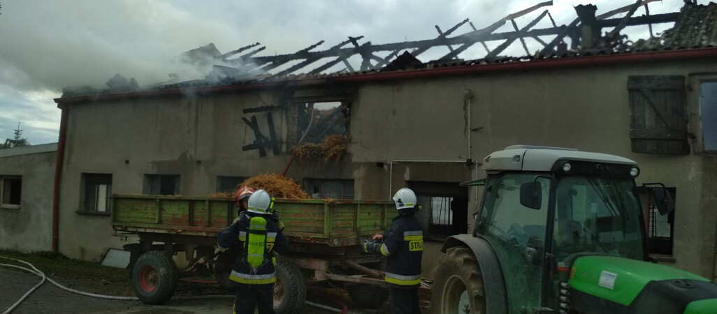 6 godzin strażacy gasili chlewnię. Świnie udało się uratować