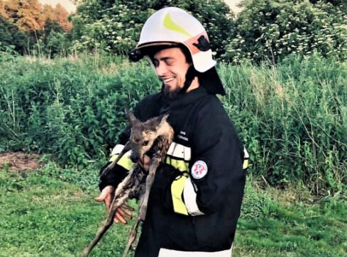 Strażacy wyciągnęli sarenkę ze studni  - grafika