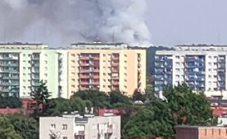 Pożar lasu w okolicach jeziora Jelonki pod Piłą 