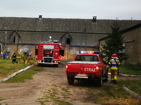 Pożar kurnika tragiczny dla ok. 100 zwierząt - grafika