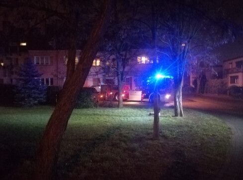 Pożar przy Tucholskiej - grafika