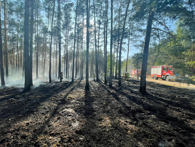 Płonął las pod Chodzieżą  - grafika