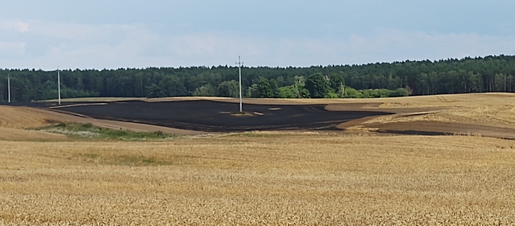 Spłonęło 8 hektarów pól pod Starą Łubianką 