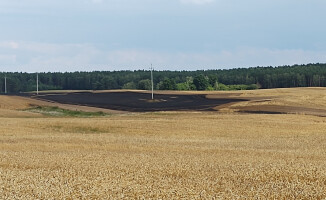 Spłonęło 8 hektarów pól pod Starą Łubianką 