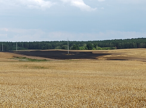 Spłonęło 8 hektarów pól pod Starą Łubianką  - grafika