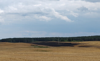 Spłonęło 8 hektarów pól pod Starą Łubianką 