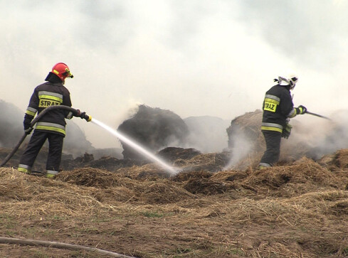 23 pożary łąk. Strażacy podejrzewają podpalenia  - grafika