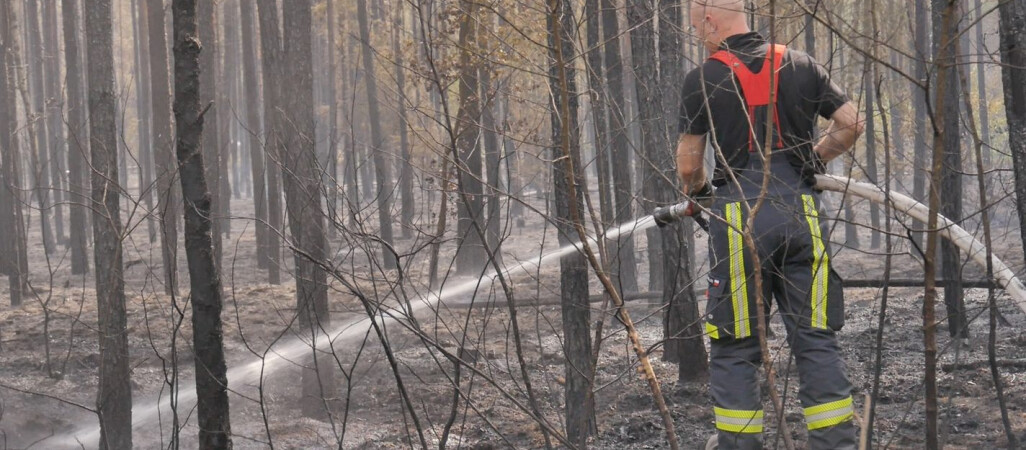 Co było przyczyną niedzielnych pożarów lasu w naszym regionie?