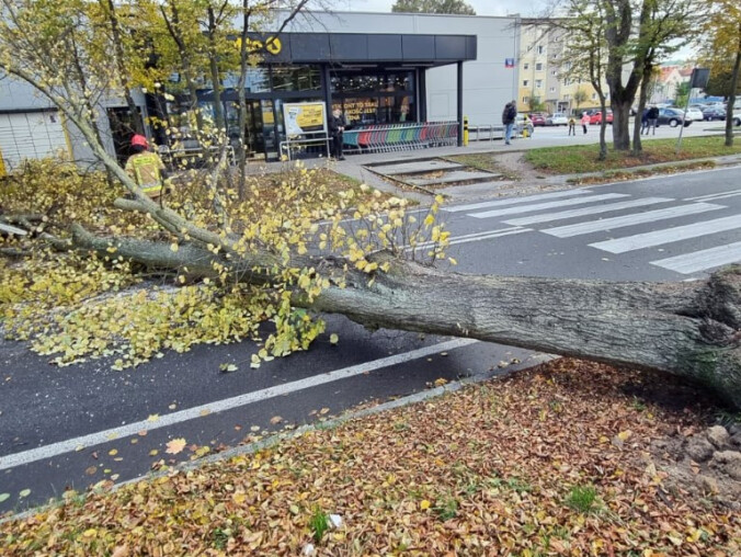Wichura nad powiatem pilskim. Strażacy wyjeżdżali do akcji 99 razy - grafika