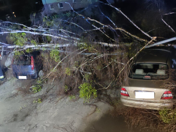 Uwaga! Silny wiatr znów uderzy - grafika