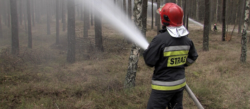 W lasach sucho. Wzrasta zagrożenie pożarowe