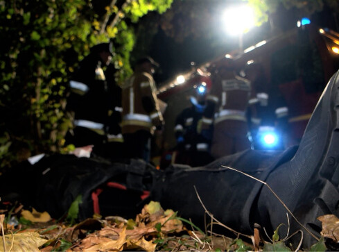 To były największe manewry strażackie od epidemii  - grafika