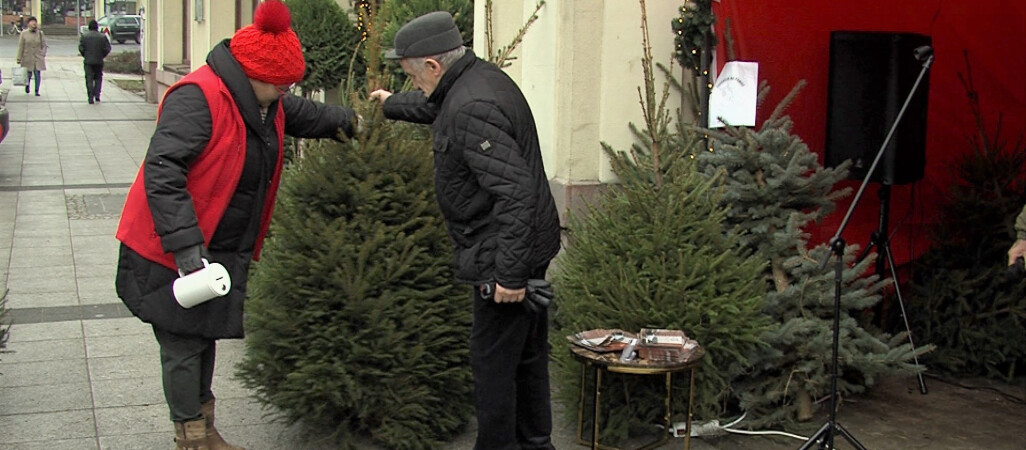 Choinka charytatywna w Pile. Na pomoc bezdomnym 