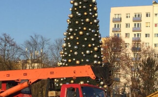 Choinka na rondzie już stoi. Jakie wrażenia? 