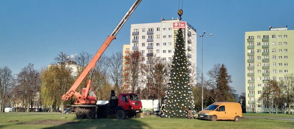 Choinka na rondzie już stoi. Jakie wrażenia? 