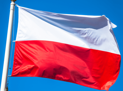 Święto Niepodległości w czasach pandemii - grafika