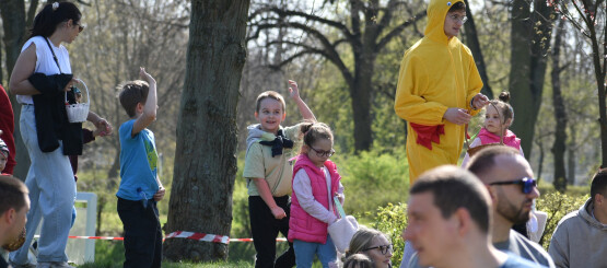 Przejdź do artykułu na Asta24.