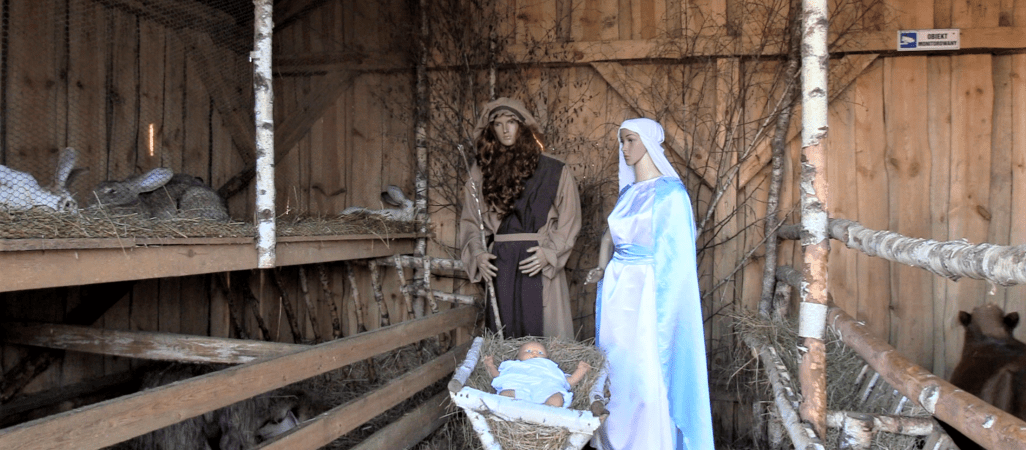 Żywa szopka z osiołkami i królikami. Atrakcja regionu 