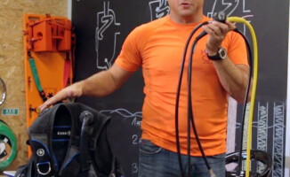 Gwiazdy i produkcje TV ASTA z sukcesami!