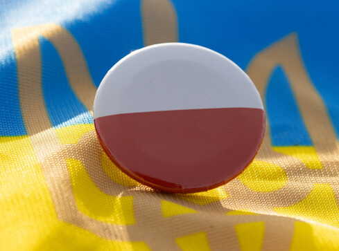 Kolejne spotkanie integracyjne polsko-ukraińskie w Pile  - grafika