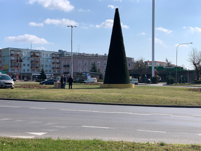 Choinka na rondzie Solidarności w Pile już bez ozdób świątecznych - grafika