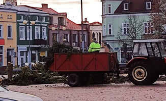 Była, ale się... zmyła świąteczna choinka 