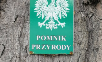 Mogło dojść do tragedii. Mieszkańcy apelują o pomoc 