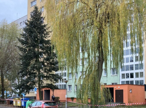 Drzewa pod topór, bo przeszkadzają strażakom  - grafika