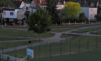 Locha z warchlakami spacerowała po Górnym 