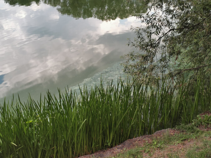 Cuchnąca, niebiesko-zielona woda na Zamkowym  - grafika