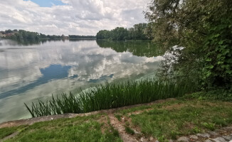 Cuchnąca, niebiesko-zielona woda na Zamkowym 