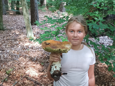 Ale grzyb! - grafika