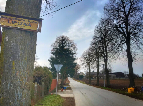 Najlepsza ulica Lipowa?  - grafika