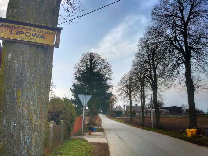 Najlepsza ulica Lipowa?  - grafika