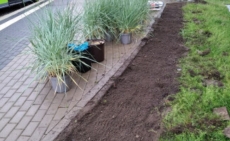 Dotacja na rewitalizację terenów zielonych na osiedlu w Pile 