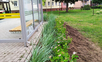 Dotacja na rewitalizację terenów zielonych na osiedlu w Pile 