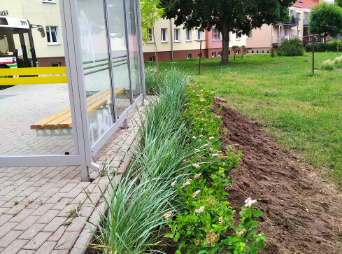 Dotacja na rewitalizację terenów zielonych na osiedlu w Pile  - grafika