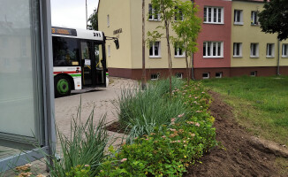 Dotacja na rewitalizację terenów zielonych na osiedlu w Pile 
