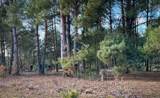Zielona Dolina zielona tylko z nazwy? Trwa wycinka nad rzeką - ZDJĘCIA 