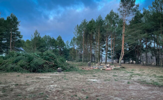 Zielona Dolina zielona tylko z nazwy? Trwa wycinka nad rzeką - ZDJĘCIA 